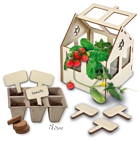 Set creativ - Sera de legume
