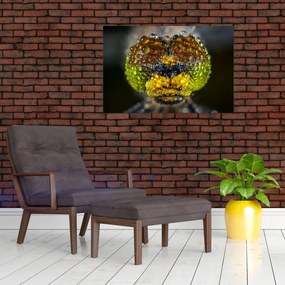 Tablou detailat cu ochii de omidă (90x60 cm)