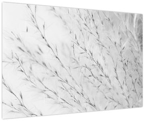 Tablou - Iarbă de pampas N⁰2 (90x60 cm)