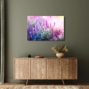 Tablou - Lavandă în strălucirea soarelui (90x60 cm)