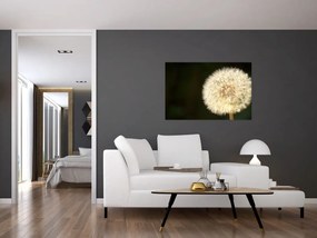 Tablou cu păpădie gri (90x60 cm)
