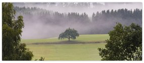 Tablou - Lunca cu copac (120x50 cm)
