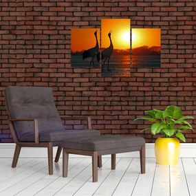 Tablou cu păsări în apus de soare (90x60 cm)