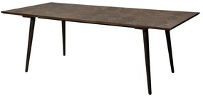 Masă de dining cu aspect de lemn de ulm 100x220 cm Diamond – DAN-FORM Denmark