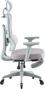 Scaun ergonomic, Suport Lombar 3 Zone Dinamice, Spătar ajustabil pe inaltime, cotiere 3D, tetiera 3D, suport pentru picioare, umeras, pivotant, Mesh, Gri