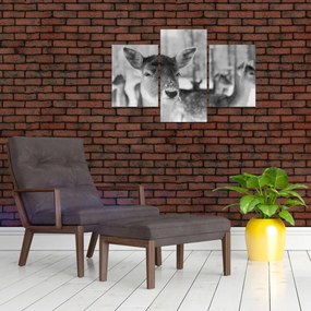 Tablou - Cerbi,alb-negru (90x60 cm)