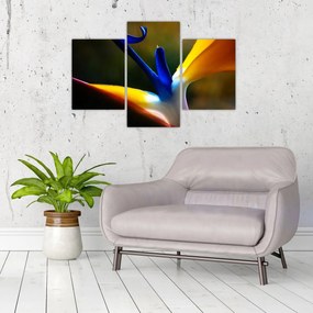 Tablou - Floare exotică (90x60 cm)