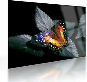 Tablou pe sticlă cu fluture (70x50 cm)