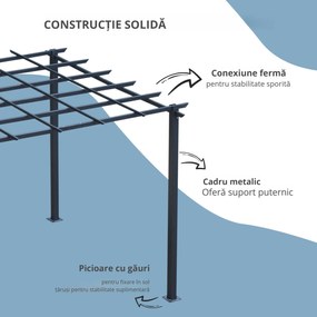 Outsunny Spalier de Gradina Schelet in Metal Negru 300 x 300 x 230 cm | Aosom Romania