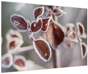 Tablou - Detaliu frunze (90x60 cm)