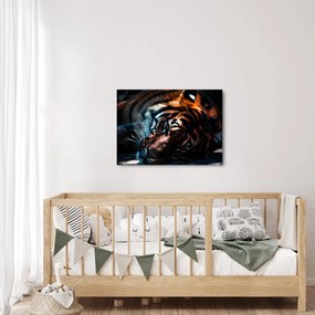 Tablou cu tigrul dormind (70x50 cm)
