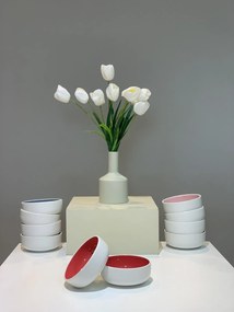 Bol COLORAT Rosu (Alb Perlat Mat Exterior, Rosu Lucios Interior)