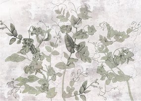 Tablou pe sticlă - Plante in ipsos (70x50 cm)