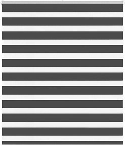 vidaXL Jaluzea tip zebra neagră lățime țesătură 125,9 cm poliester