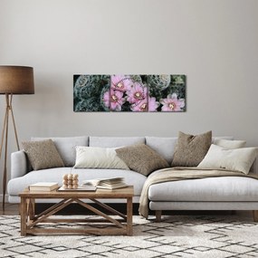 Tablou floare de cactus (cu ceas) (90x30 cm)