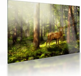 Tablou pe sticlă cu cerbul în pădure (70x50 cm)