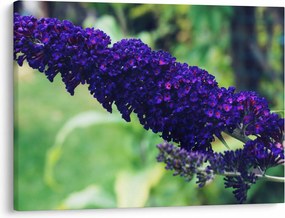 Tablou cu floare albastră (70x50 cm)