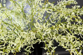 Aranjament floral mare decor festiv design LUX CAMBRIA H-125cm