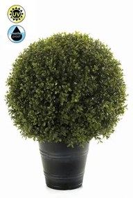 Plante de exterior - Boxwood ball UV - 53 cm