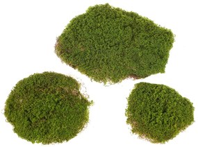 Decorațiune artificială Mușchi verde, 27 x 36 x 5cm