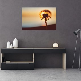 Tablou - Păpădie la apus de soare (90x60 cm)