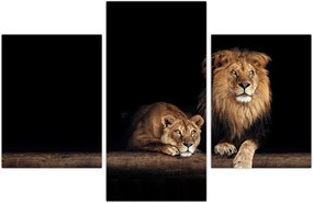Tablou - Leu și leoaică (90x60 cm)