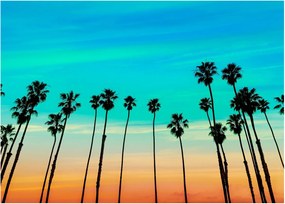Tablou - California (70x50 cm)