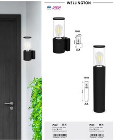 Aplica de perete pentru iluminat exterior IP44 Wellington negru mat, transparent