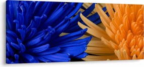 Tablou detailat cu flori (120x50 cm)