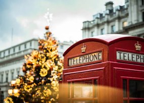 Fotografie An Illuminated Christmas Tree and Red, Tim Grist Photography