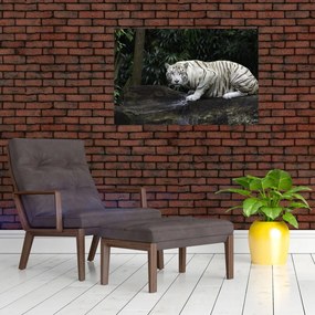 Tablou - Tigru alb (90x60 cm)