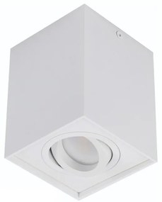 Spot directionabil aplicat tavan/plafon stil modern ELOY 1 White