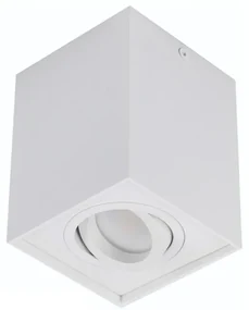 Spot directionabil aplicat tavan/plafon stil modern ELOY 1 White