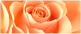 Tablou - Imaginea- Trandafiri, culoarea caisei (120x50 cm)