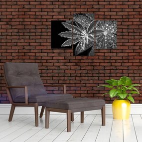 Tablou - Frunze cu picături (90x60 cm)