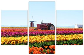 Tablou cu farma de lalele (90x60 cm)