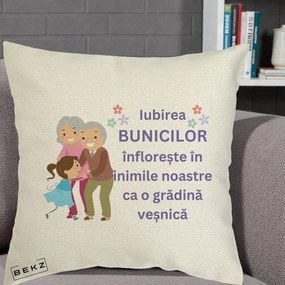 Cadou pentru Bunici - Perna Personalizata Bunicii Iubirea Infloreste Bunici cu Nepoata Colorat, 40x40 cm, Ecru, Husa Detasabila, Perna Inclusa, BEKZ®