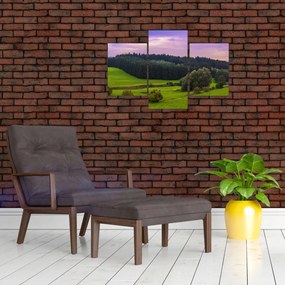 Tablou cu lunca (90x60 cm)