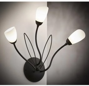 Jupiter 2059 - Aplică de perete GLORIOSA 3xG9/14W/230V, neagră