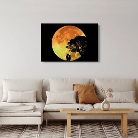 Tablou cu umbre în lumina lunii (90x60 cm)