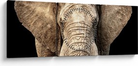 Tablou - Elefant african (cu ceas) (90x30 cm)