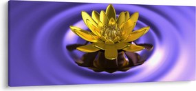 Tablou - Lotus (120x50 cm)