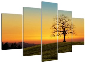 Tablou - Copacul în câmp (150x105 cm)