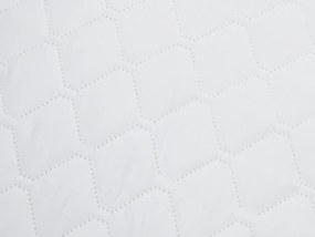 Perna din fibra goala DREAMSOFT 50x70 cm