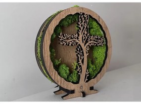 Li-Go 23622/DUB2 - Decorațiune de masă LED dimerizabilă LED/12W/230V 20x22 cm stejar