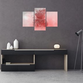 Tablou - Fum roșu (90x60 cm)