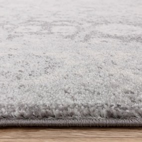 Covor gri deschis 160x230 cm Muse Heritage Grey Silver – Asiatic Carpets