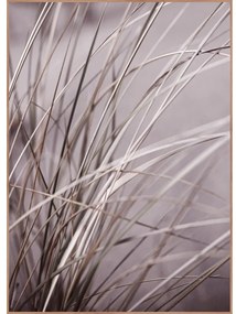 Tablou 50x70 cm Mellow Grasses 1 – Malerifabrikken