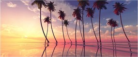 Tablou cu palmieri deasupra mării (120x50 cm)