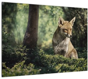 Tablou cu vulpe (70x50 cm)